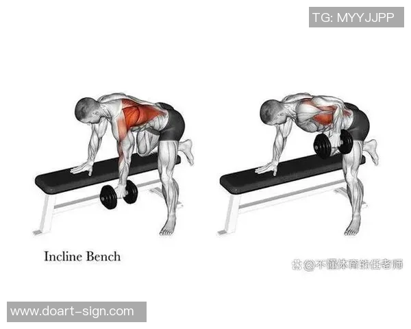 一周哑铃锻炼计划表助你塑造完美身材与增强肌肉力量